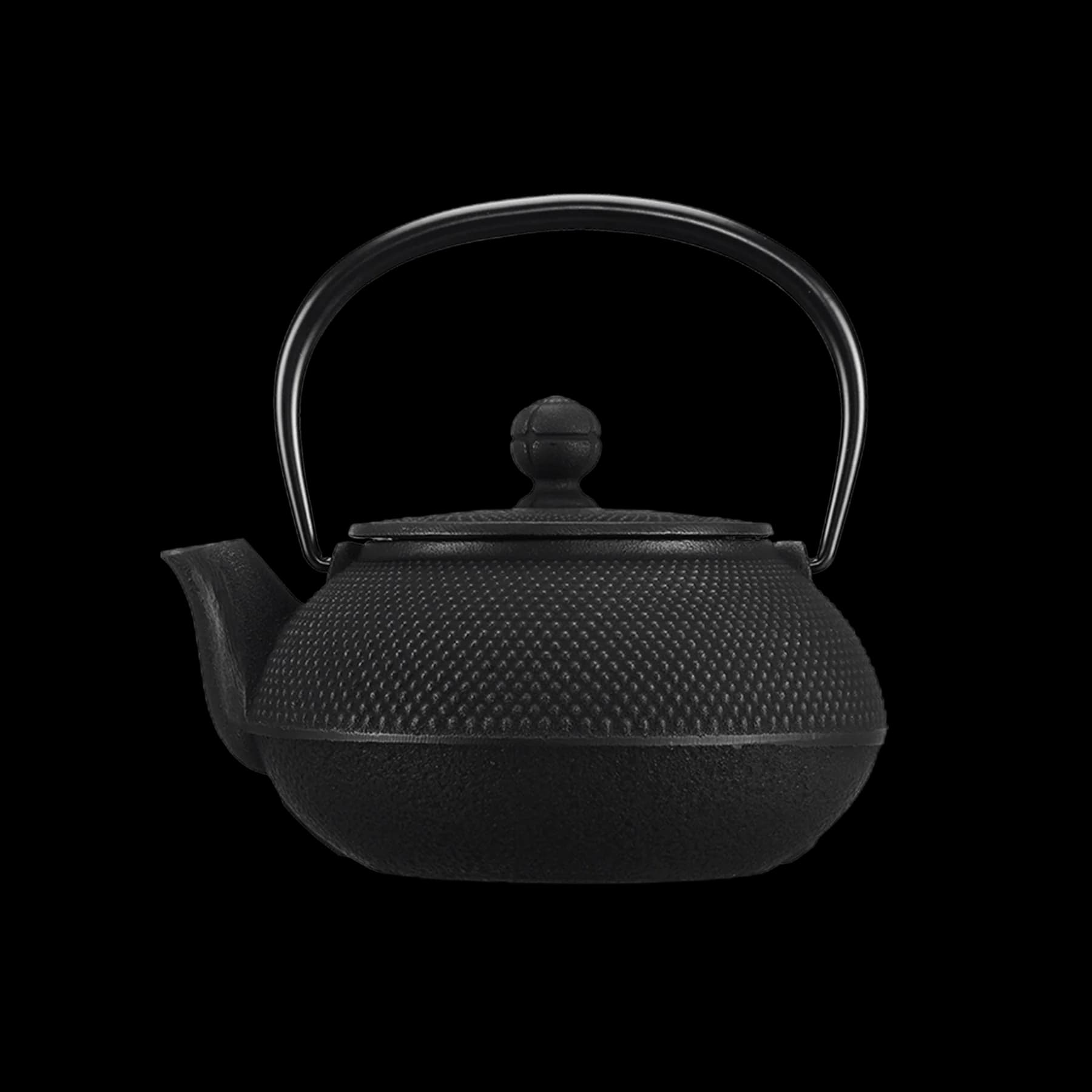 Iwachu Arare 0.55 L Teapot with Filter