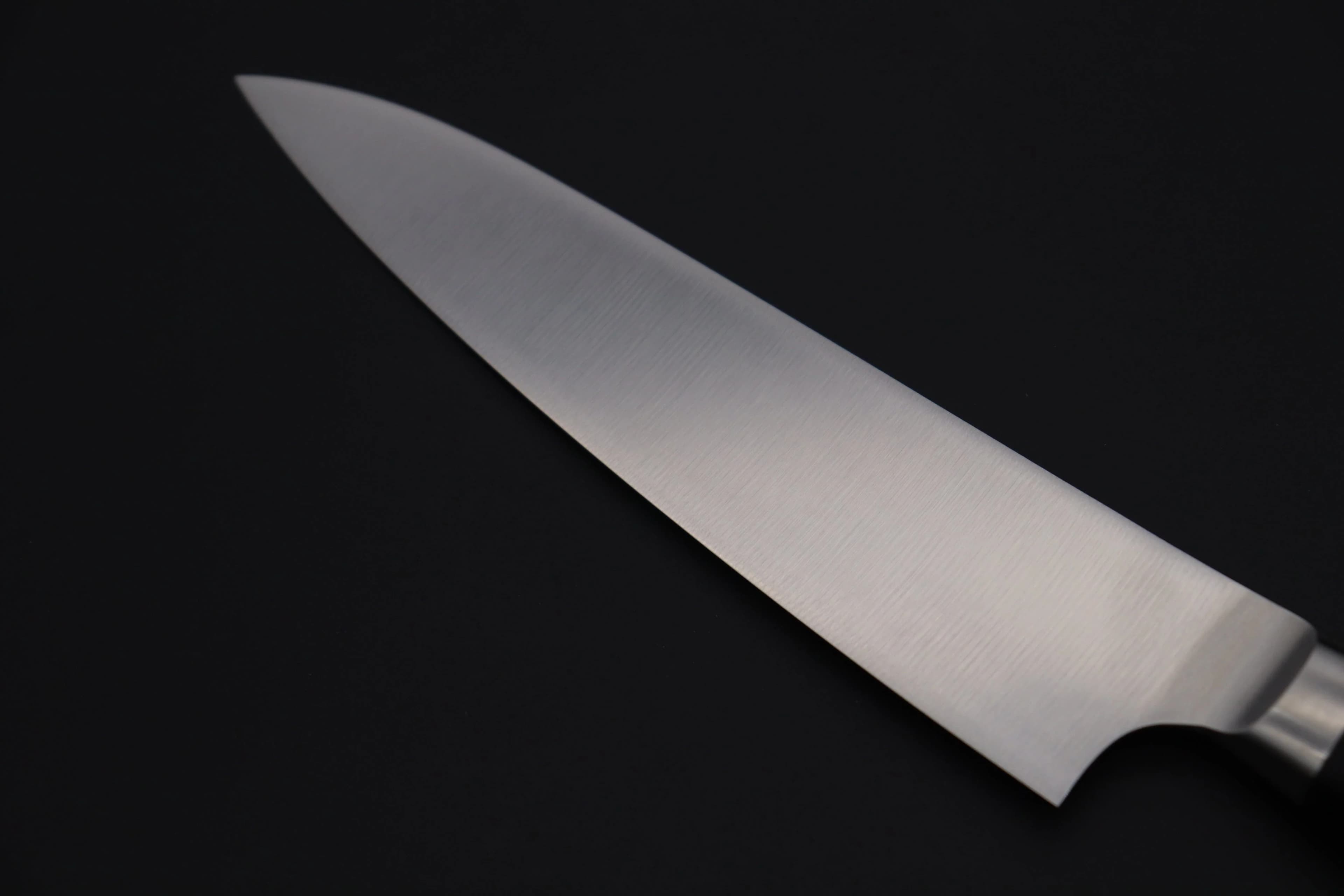 Seki Kanetsugu Seki Kanetsugu Pro-M Gyuto 210mm
